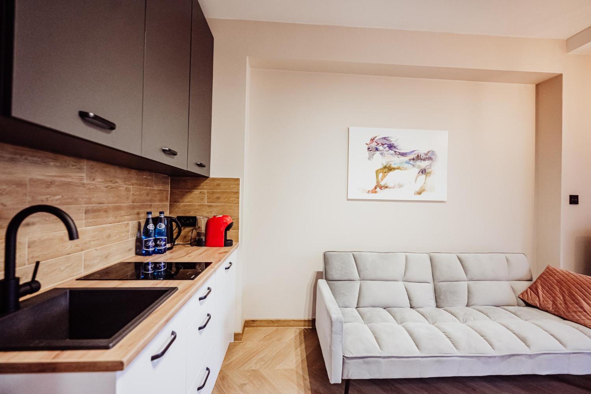 Apartamenty Przygoda W Karpaczu エクステリア 写真